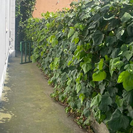 Willa Casa Elisa 8 Bellaria-Igea Marina Zewnętrze zdjęcie