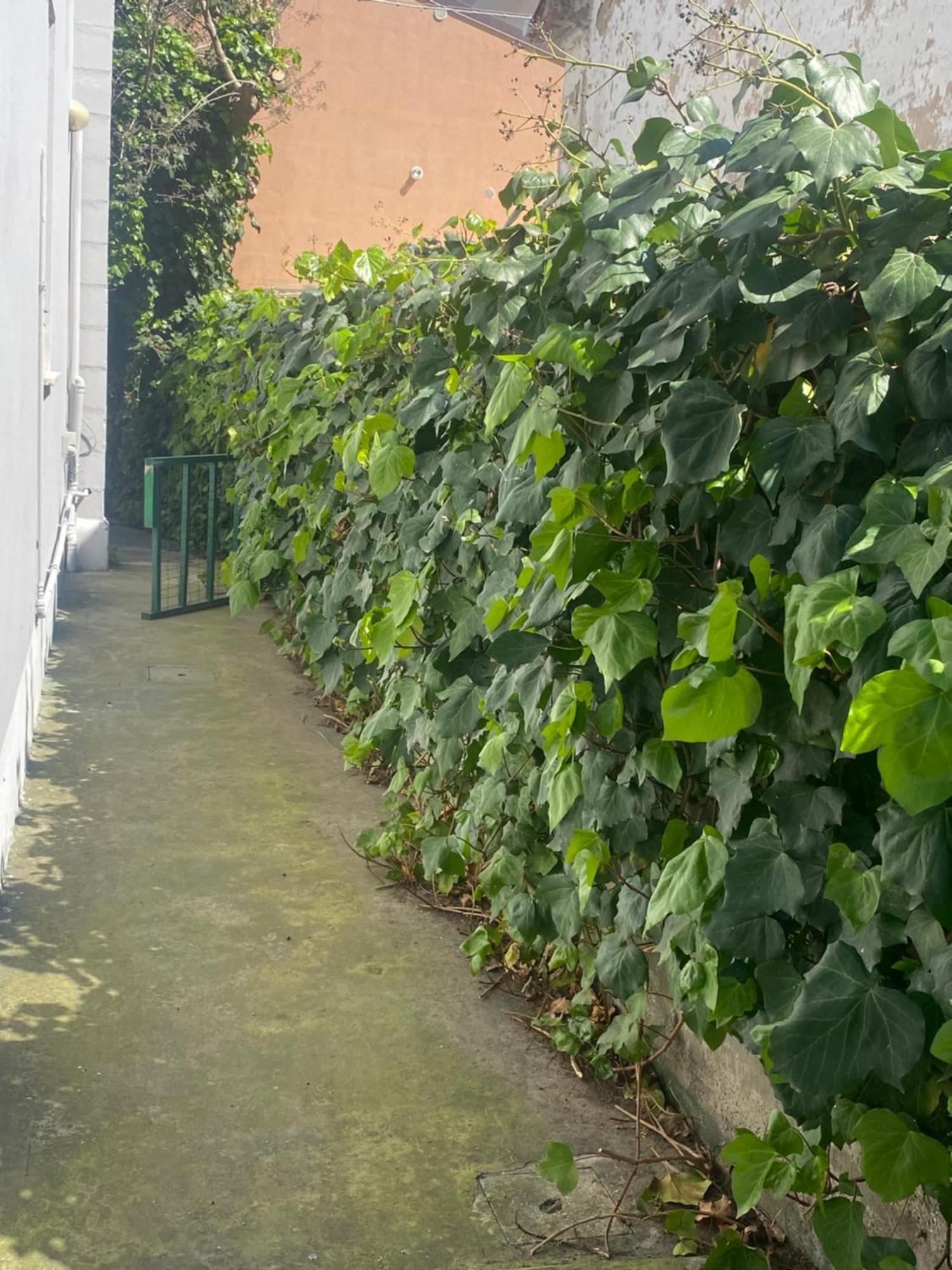 Willa Casa Elisa 8 Bellaria-Igea Marina Zewnętrze zdjęcie