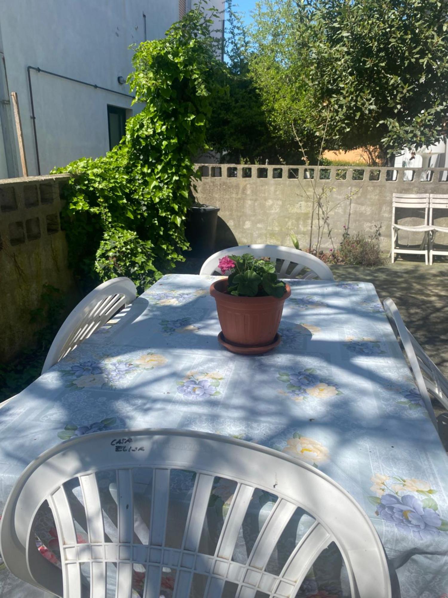 Willa Casa Elisa 8 Bellaria-Igea Marina Zewnętrze zdjęcie